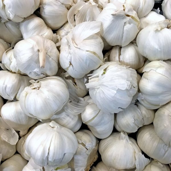 vertical-shot-garlic-used-as-ingredients-recipe_181624-11423